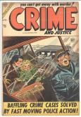 Crime and Justice #21 front