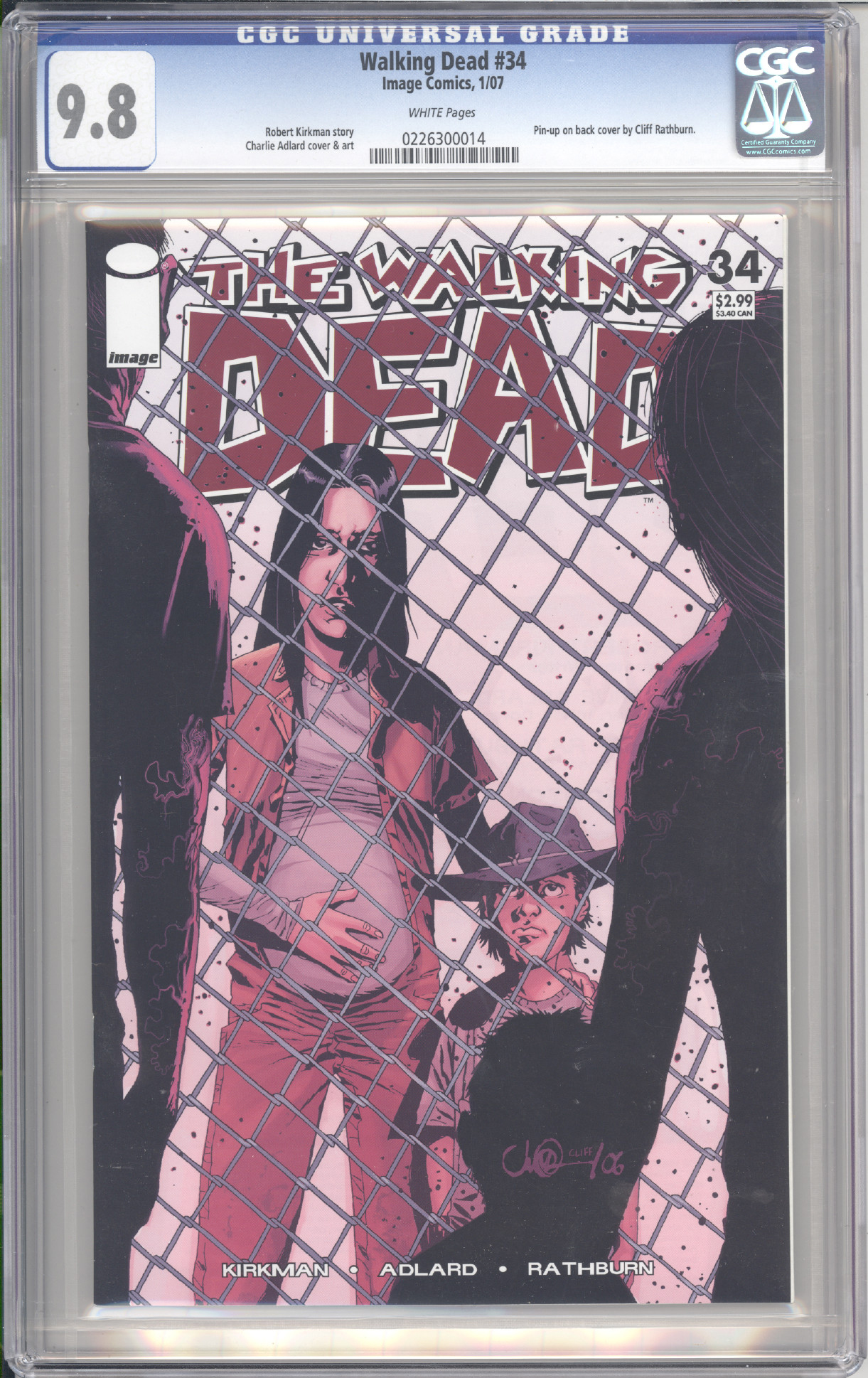 Walking Dead  #34