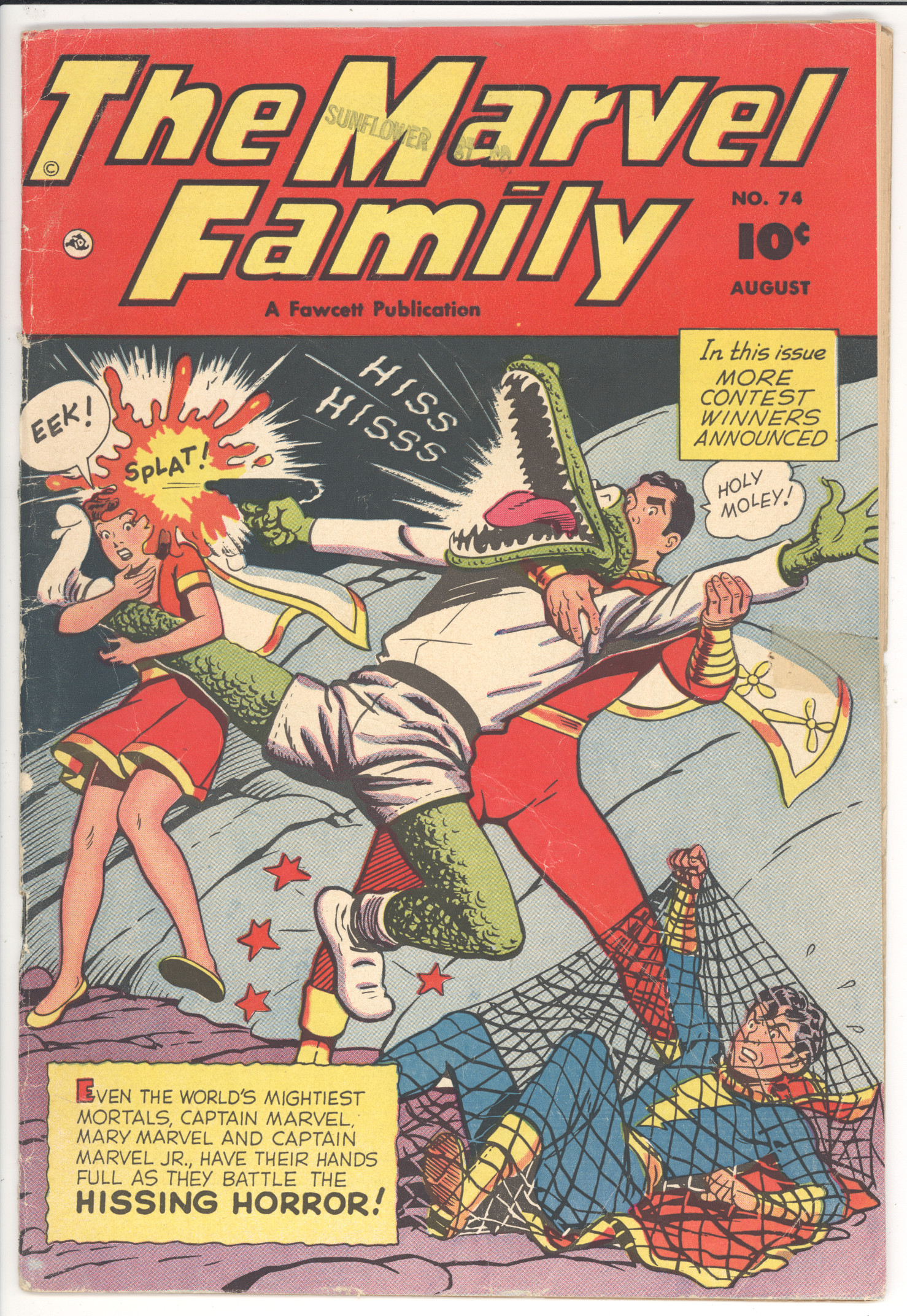 Marvel Family  #74