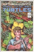 Teenage Mutant Ninja Turtles #12 front