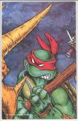 Teenage Mutant Ninja Turtles #6 back