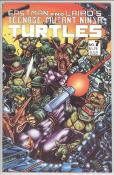 Teenage Mutant Ninja Turtles #7 front