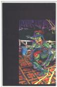 Teenage Mutant Ninja Turtles #9 back