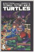 Teenage Mutant Ninja Turtles #9 front