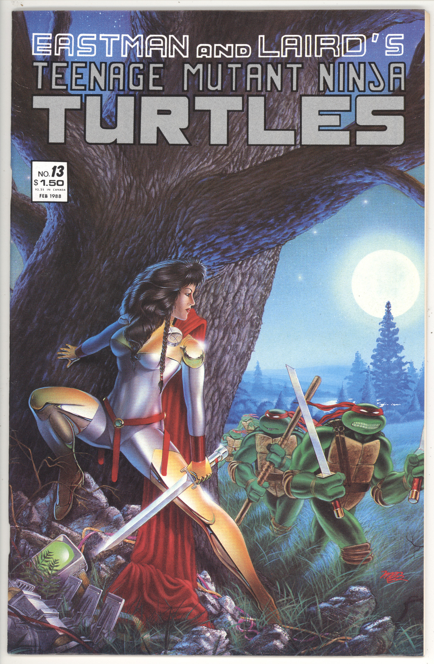 Teenage Mutant Ninja Turtles  #13