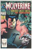 Wolverine #11 front